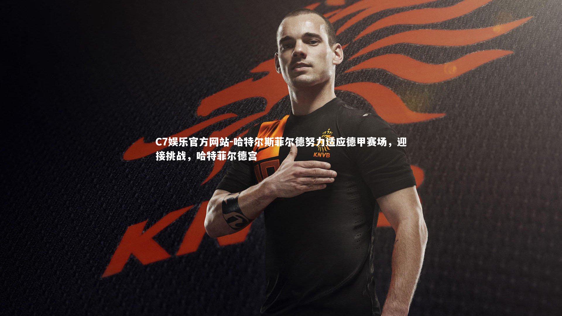 C7娱乐官方网站-哈特尔斯菲尔德努力适应德甲赛场，迎接挑战，哈特菲尔德宫